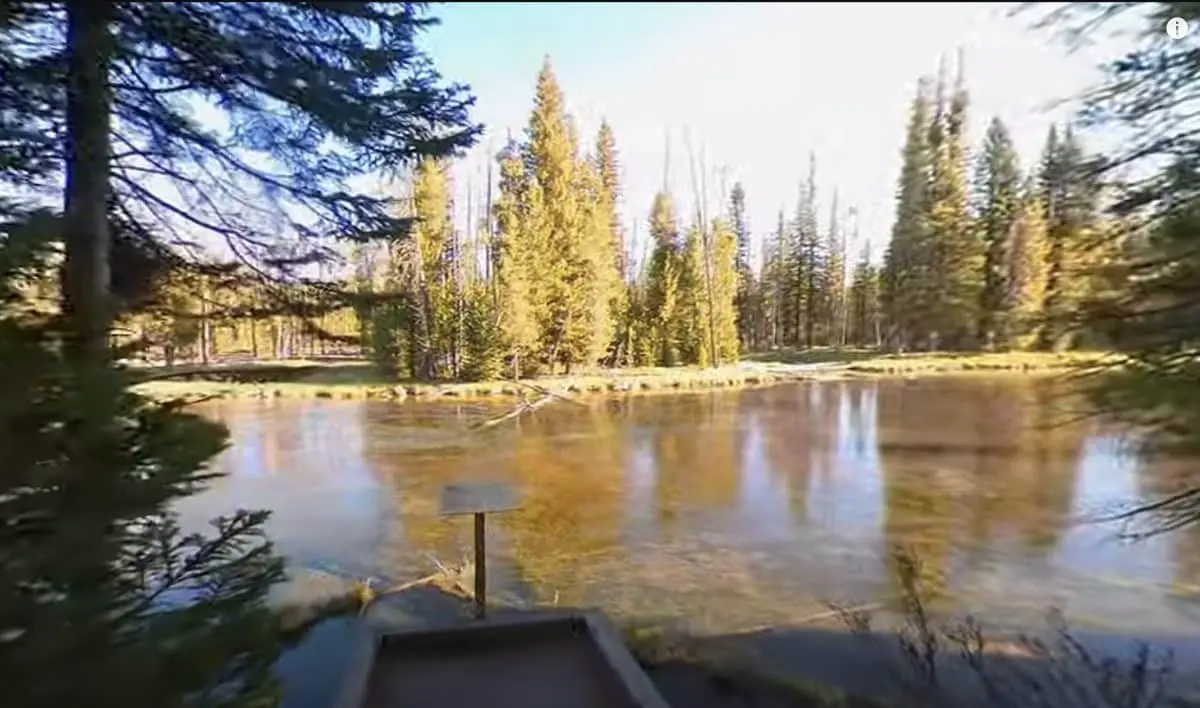 View of river through trees