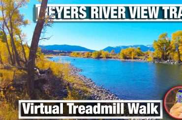 Yellowstone river with autumn color in this nature walking tour