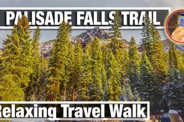 Trees and mountains near Palisades Falls in Hyalite Canyon in Montana