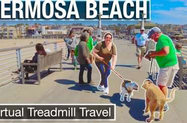 People Walking dogs on the Hermosa Beach Pier near Los Angeles California