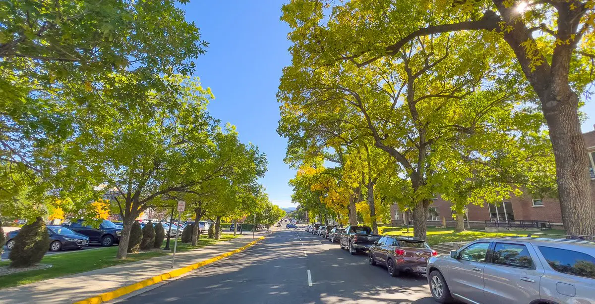 Trees shade road near Emerson Center in Bozeman, Montana during our virtual walking tour and city walk live