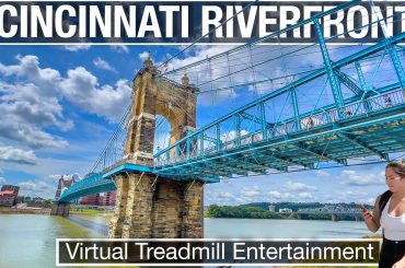 John A Roebling Bridge over the Ohio River in Summer