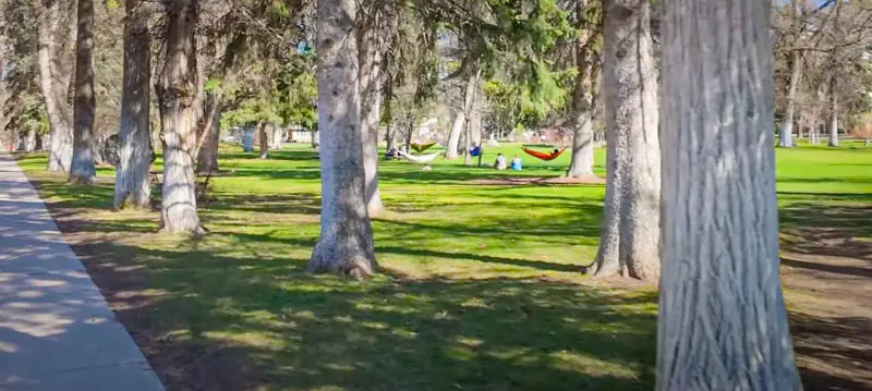 people in hammocks in Cooper Park towards the end of the virtual walking tour