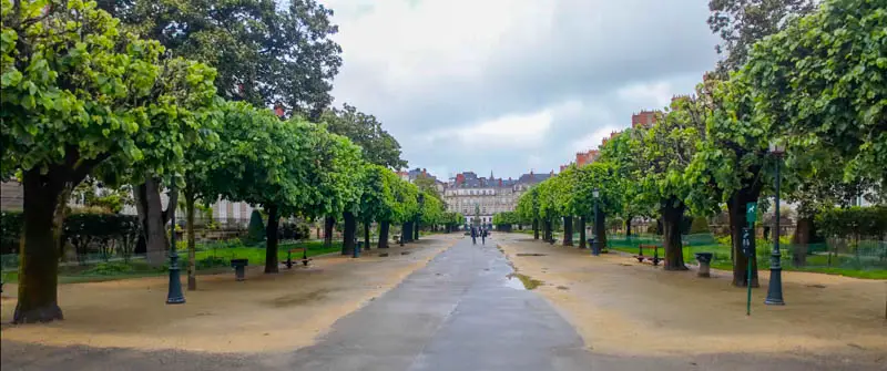 Trees in the park Cours Cambrone in Nantes city walk