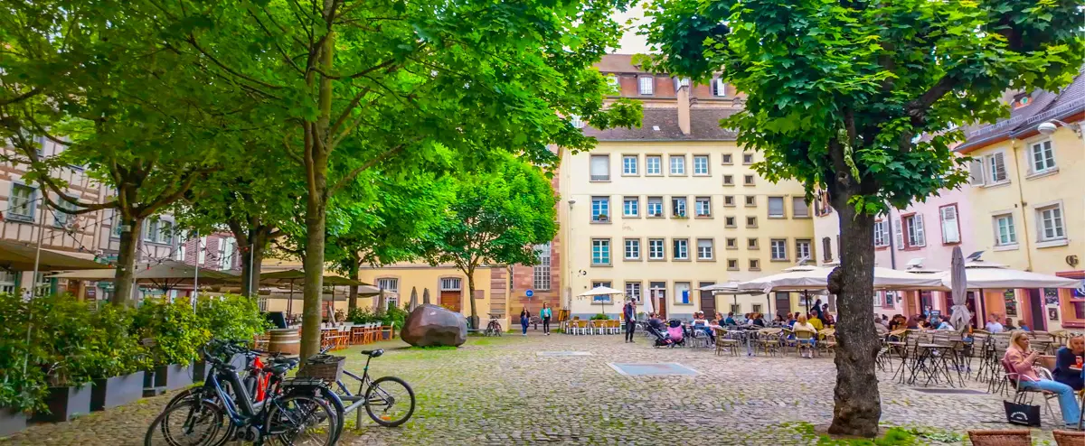 Quiet tree lined place in Strasbourg during virtual walking tour where city walks live