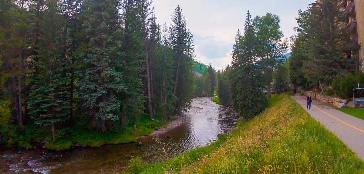 Vail Creek in summer during our virtual walk for treadmill