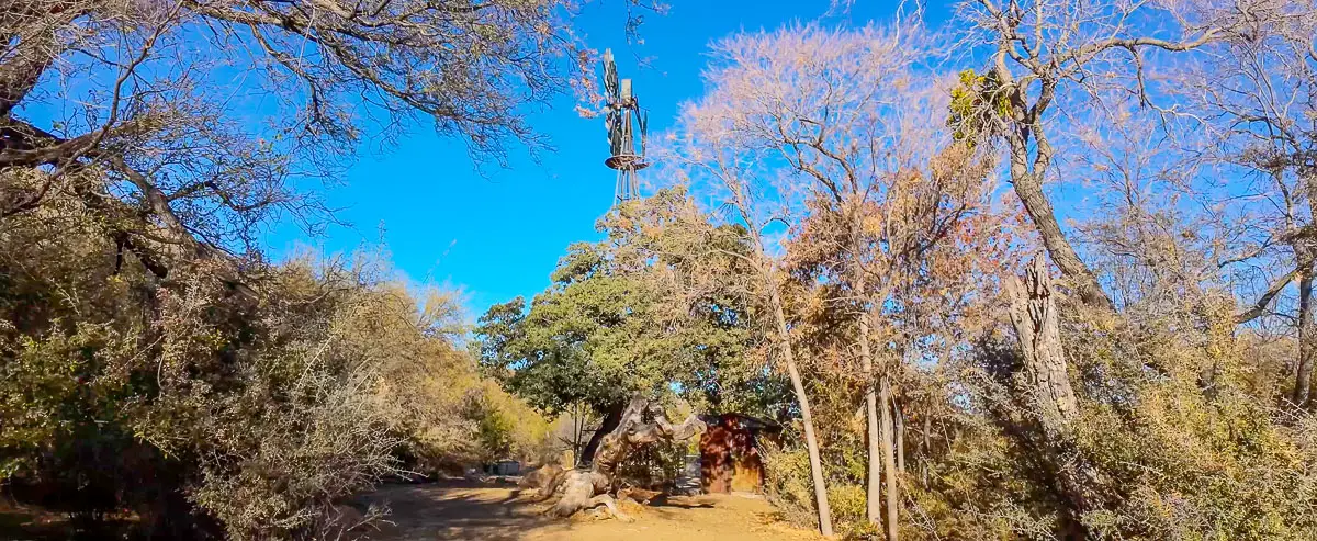 Windmill in desert oak trees at Elkhorn Citywalk.live here